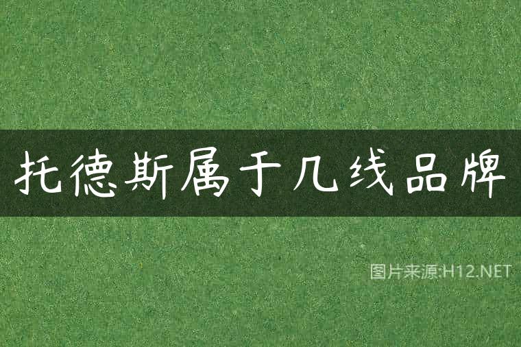 托德斯属于几线品牌