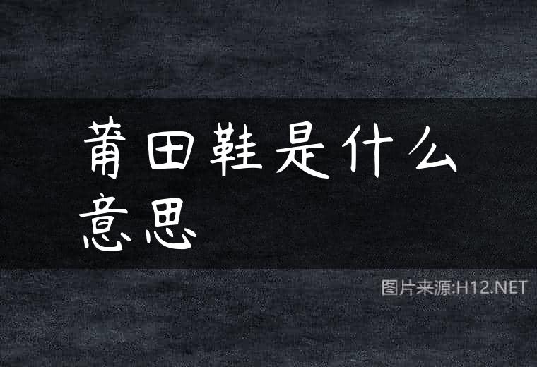 莆田鞋是什么意思