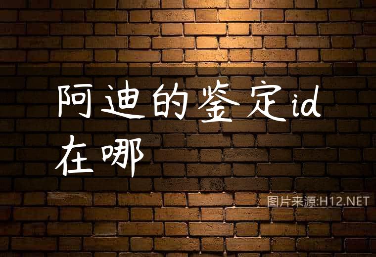 阿迪的鉴定id在哪