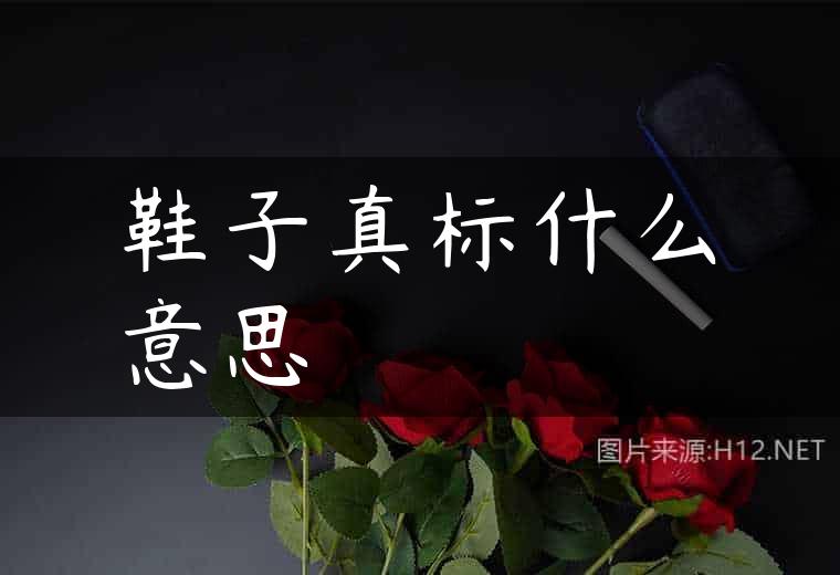 鞋子真标什么意思