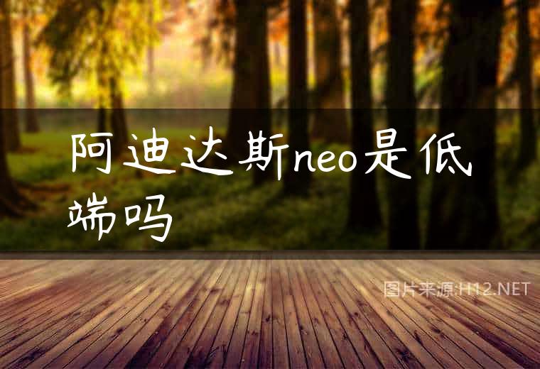 阿迪达斯neo是低端吗