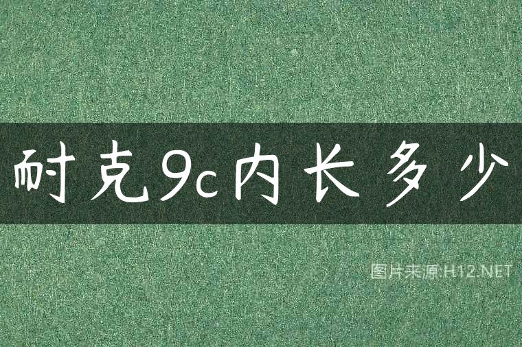 耐克9c内长多少