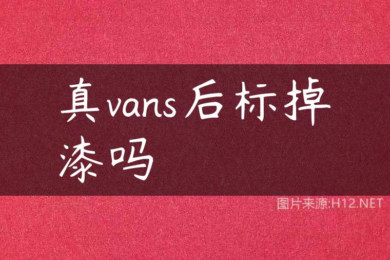真vans后标掉漆吗