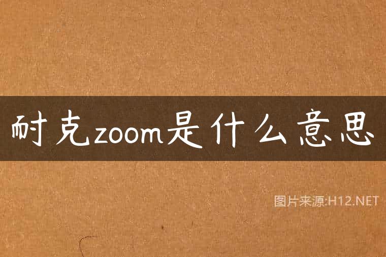 耐克zoom是什么意思