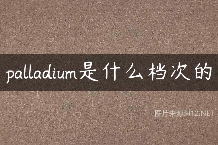 palladium是什么档次的