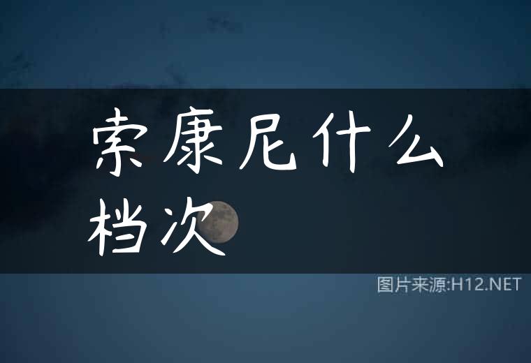 索康尼什么档次