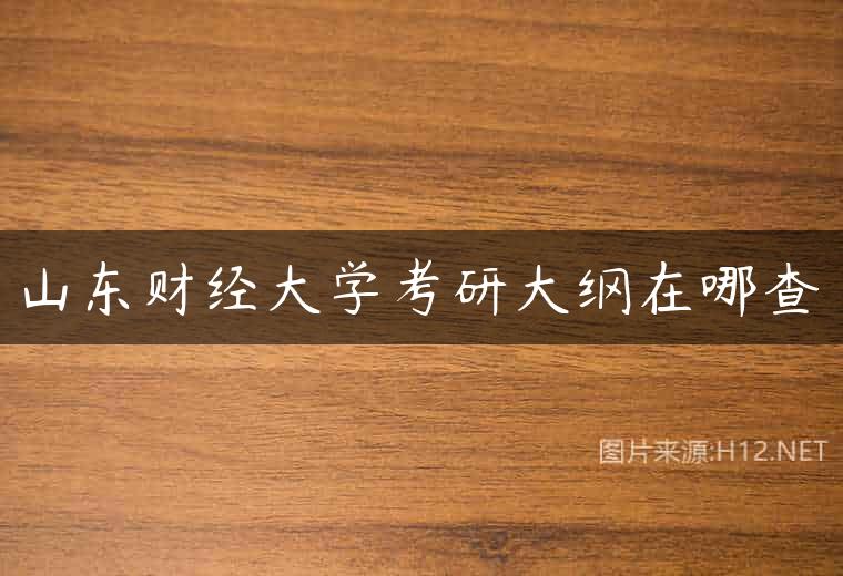 山东财经大学考研大纲在哪查