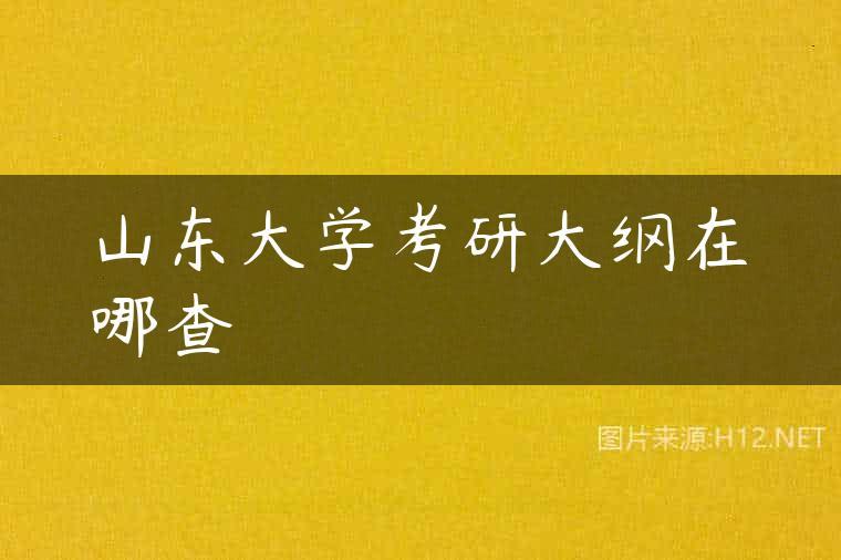 山东大学考研大纲在哪查