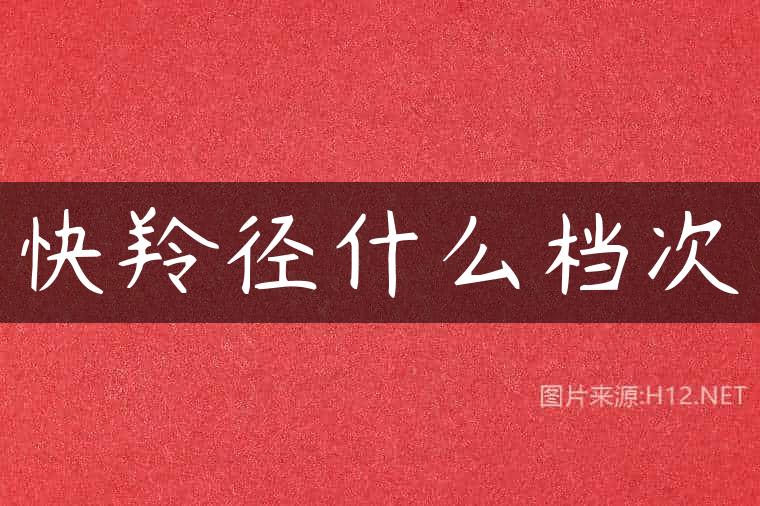 快羚径什么档次