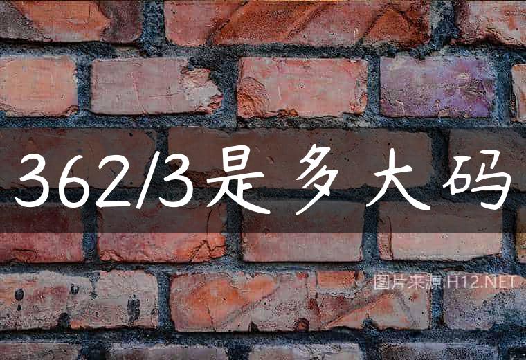 362/3是多大码