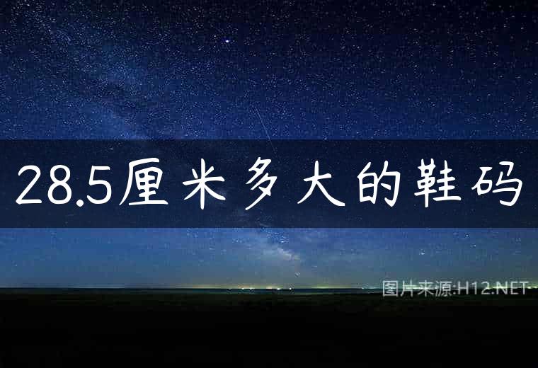 28.5厘米多大的鞋码