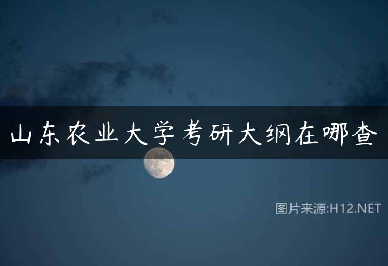 山东农业大学考研大纲在哪查