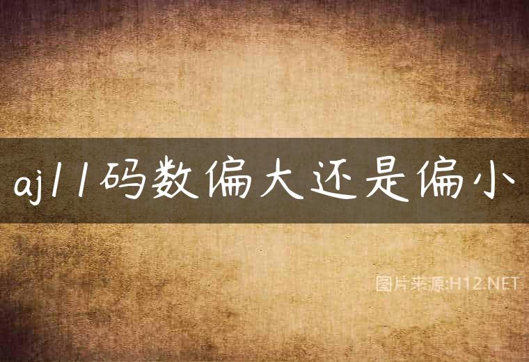 aj11码数偏大还是偏小