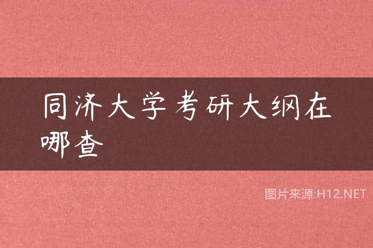 同济大学考研大纲在哪查