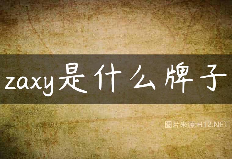 zaxy是什么牌子