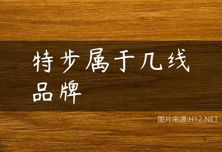 特步属于几线品牌