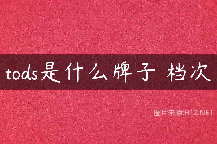 tods是什么牌子 档次