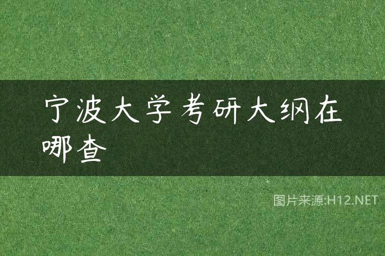 宁波大学考研大纲在哪查