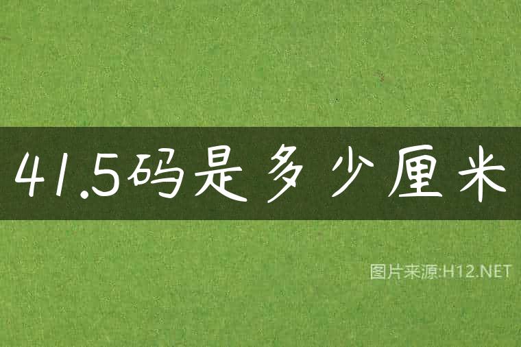 41.5码是多少厘米