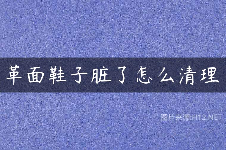 革面鞋子脏了怎么清理