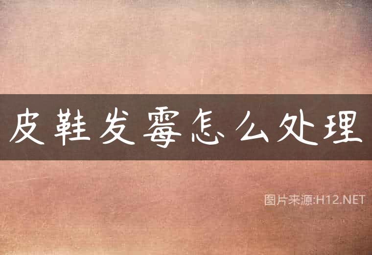皮鞋发霉怎么处理