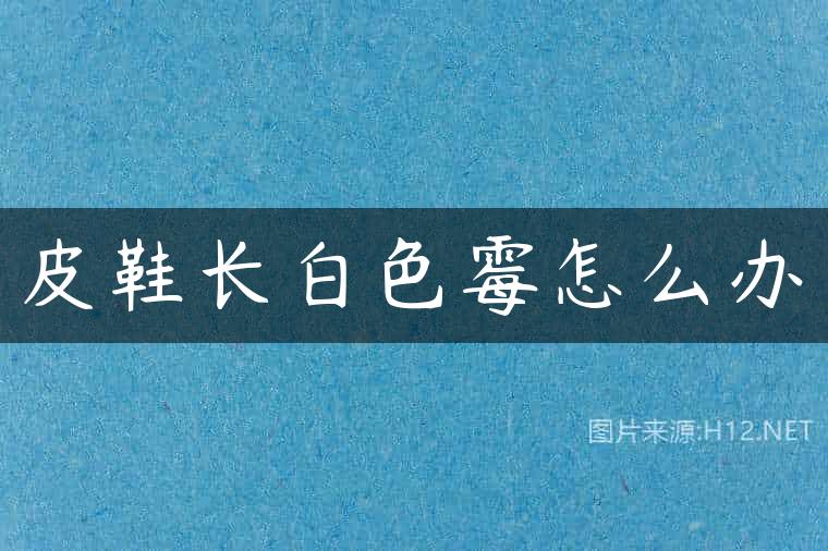 皮鞋长白色霉怎么办