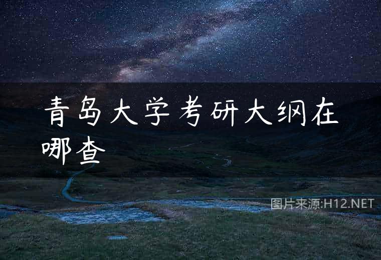 青岛大学考研大纲在哪查