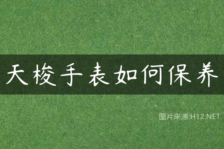 天梭手表如何保养