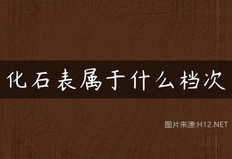 化石表属于什么档次