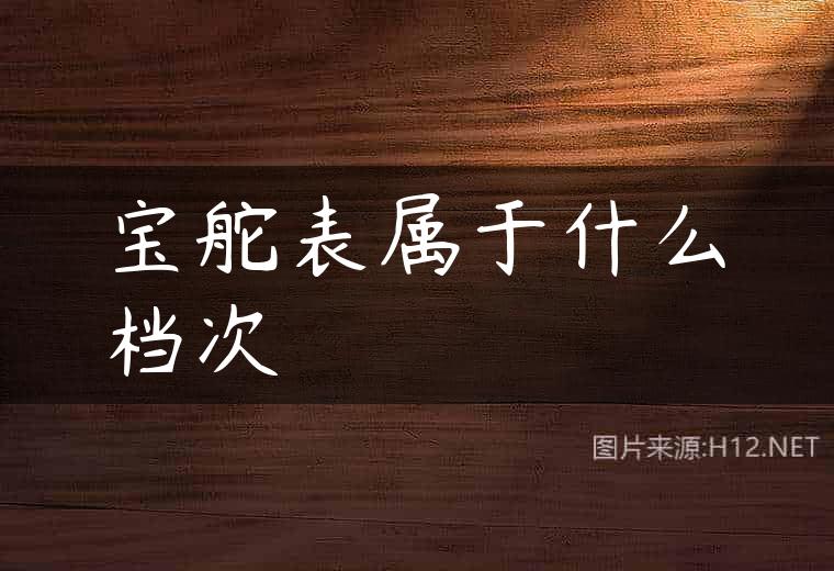 宝舵表属于什么档次