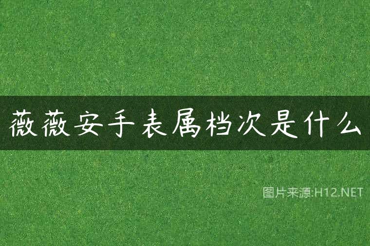 薇薇安手表属档次是什么