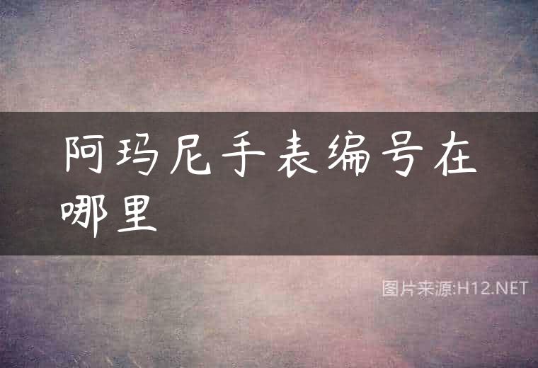 阿玛尼手表编号在哪里
