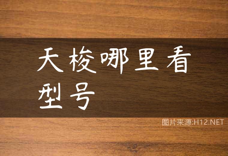 天梭哪里看型号