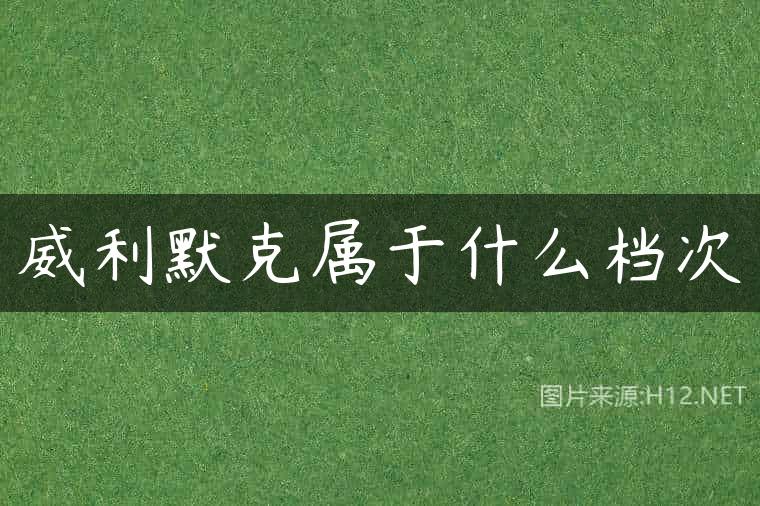 威利默克属于什么档次