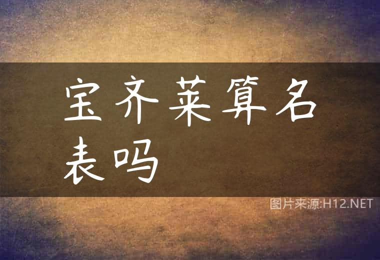 宝齐莱算名表吗