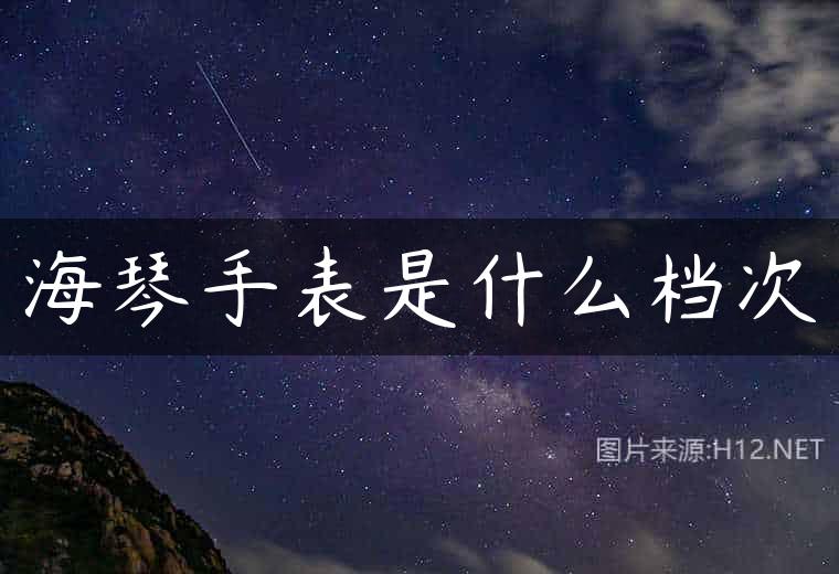 海琴手表是什么档次