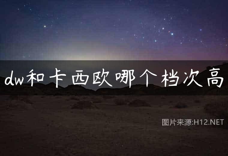 dw和卡西欧哪个档次高