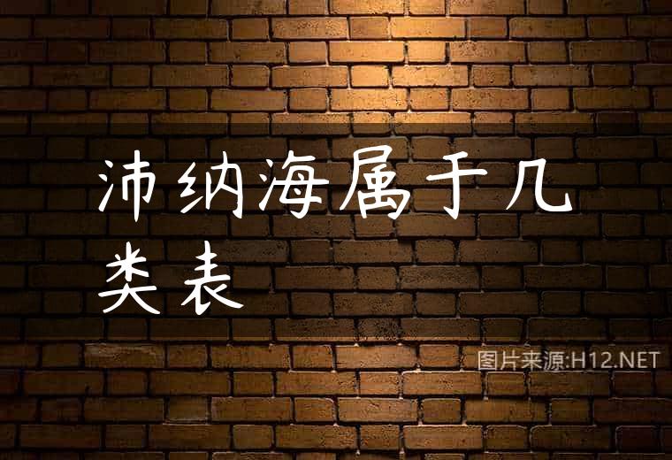 沛纳海属于几类表