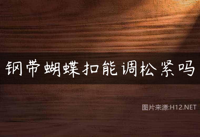 钢带蝴蝶扣能调松紧吗