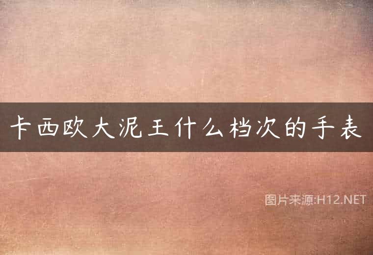 卡西欧大泥王什么档次的手表