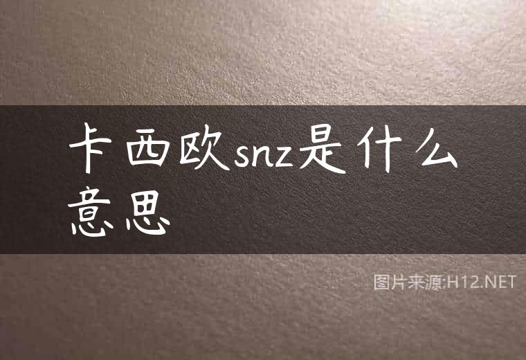 卡西欧snz是什么意思