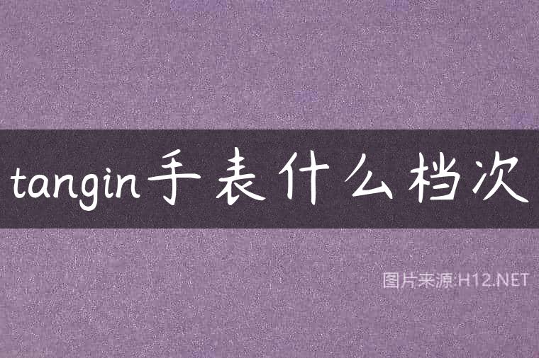 tangin手表什么档次