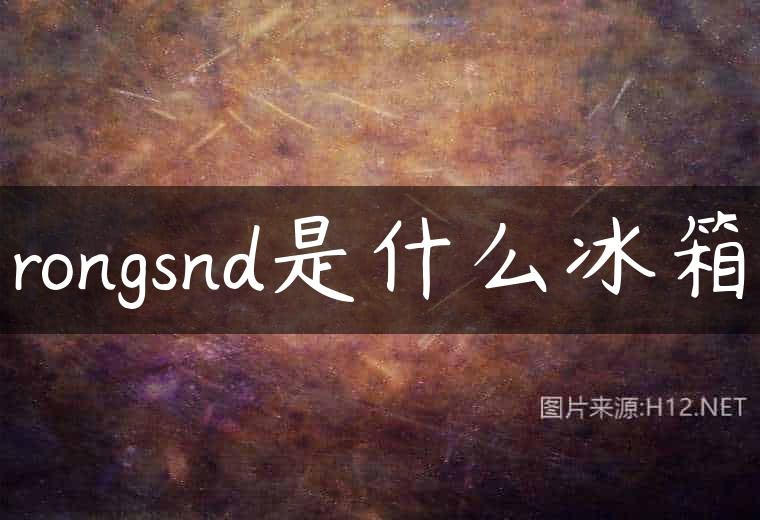 rongsnd是什么冰箱