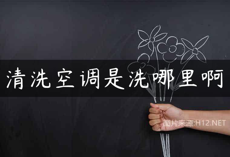 清洗空调是洗哪里啊