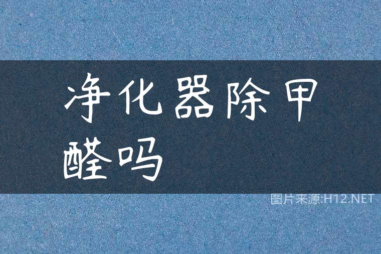净化器除甲醛吗