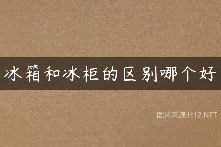 冰箱和冰柜的区别哪个好