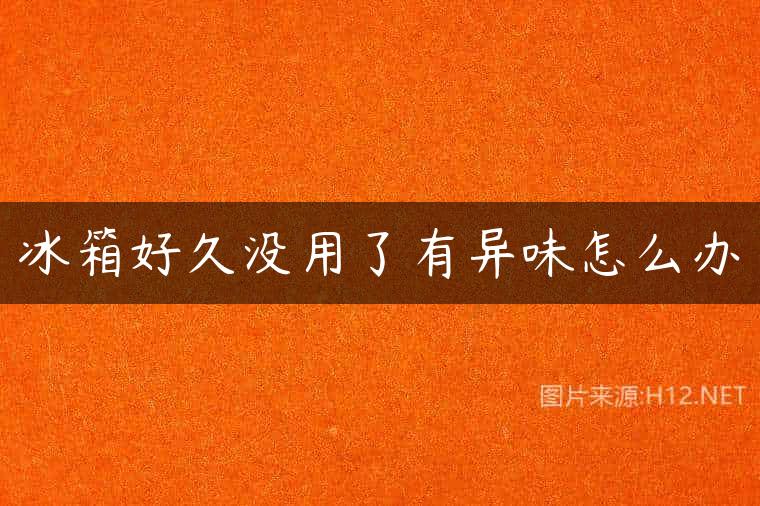 冰箱好久没用了有异味怎么办