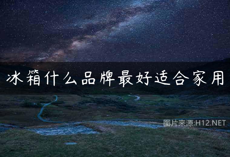 冰箱什么品牌最好适合家用