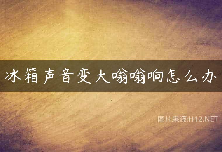 冰箱声音变大嗡嗡响怎么办