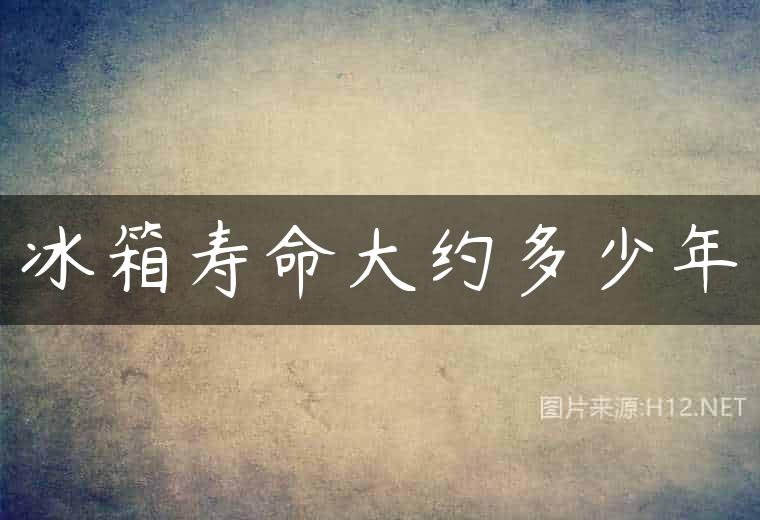 冰箱寿命大约多少年
